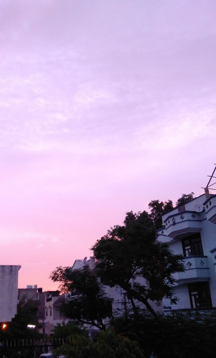 Pink Sky