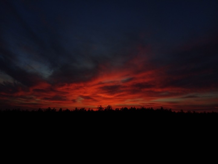09.03.2019