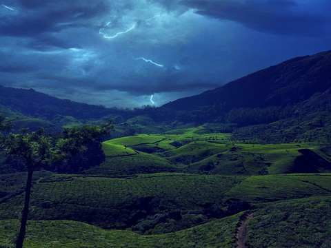 Tea Thunder