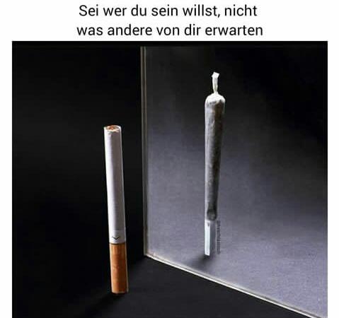 Ich will weder das eine, noch das andere.
