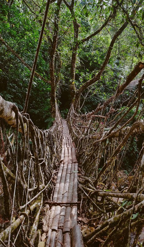 Nature