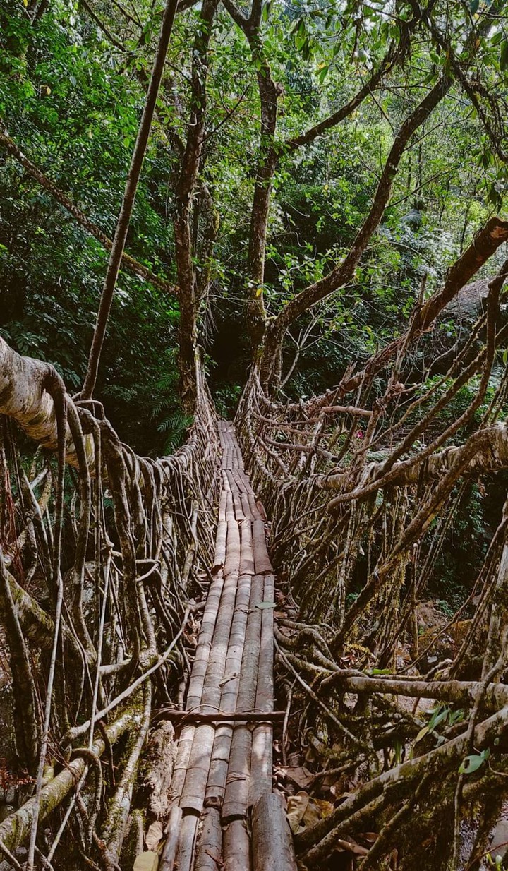 Nature