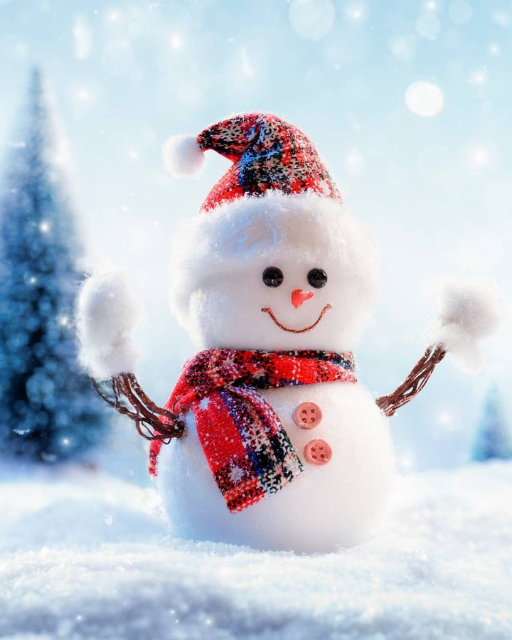 Merry Christmas