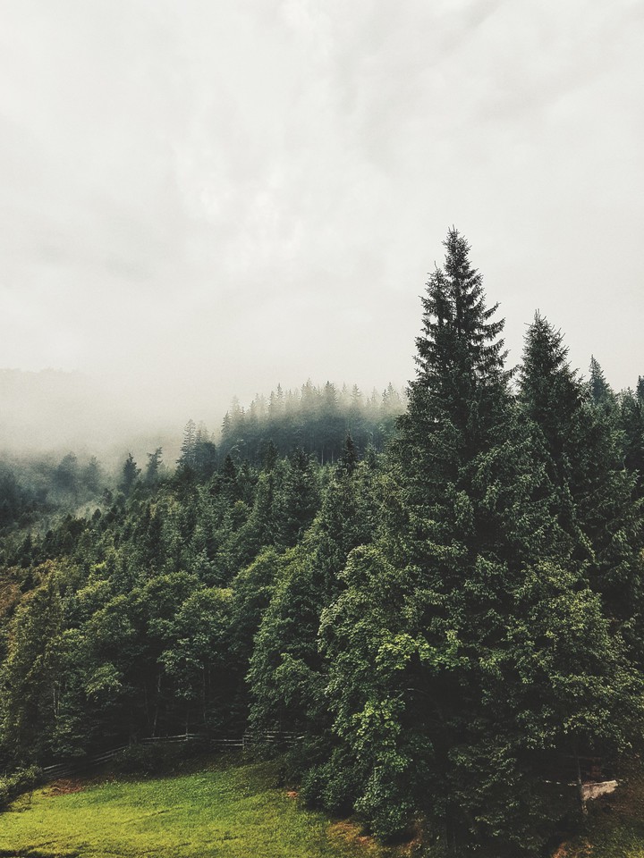 Carpathian