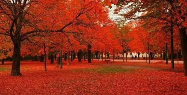 Give me Red
