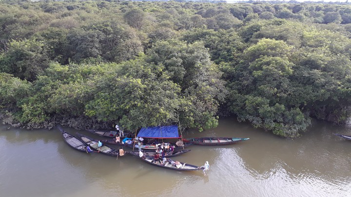 রাতারগুল জলার বনে নৌকায় দোকানRatargul swamp forest boat shop