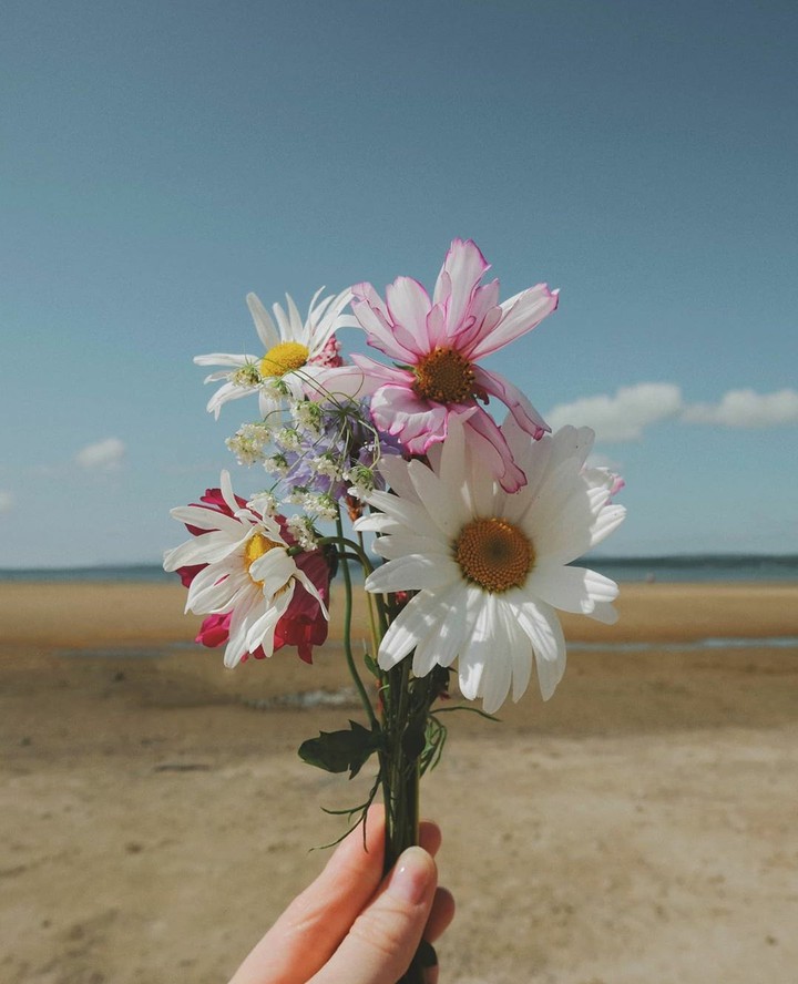flowers