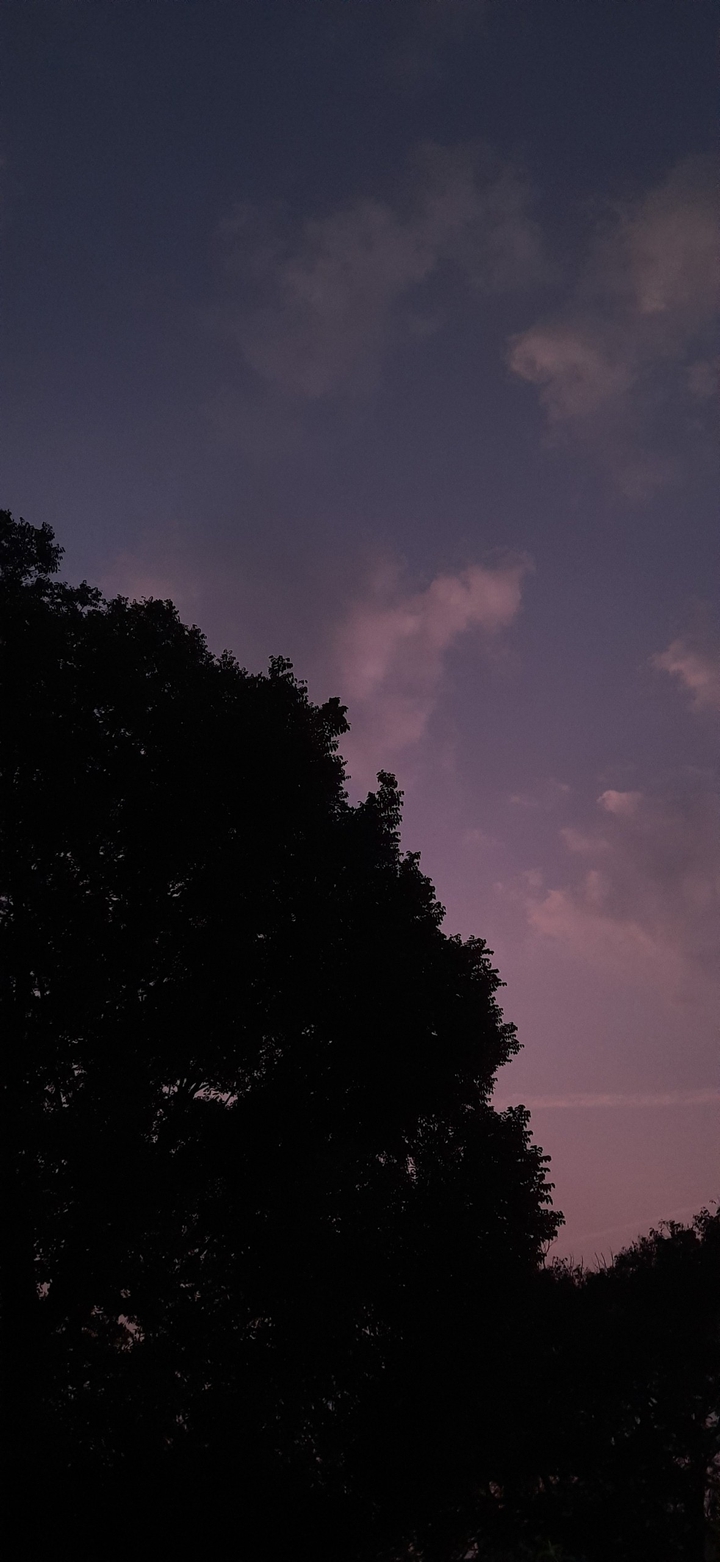 the sky is pink