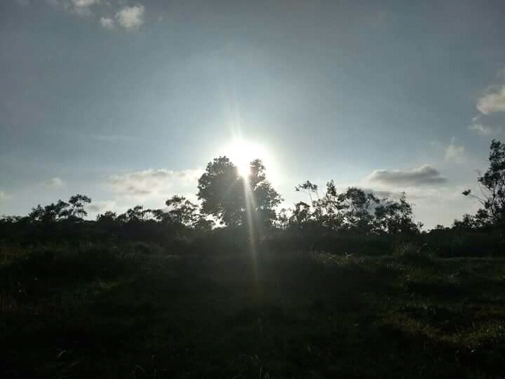 nature