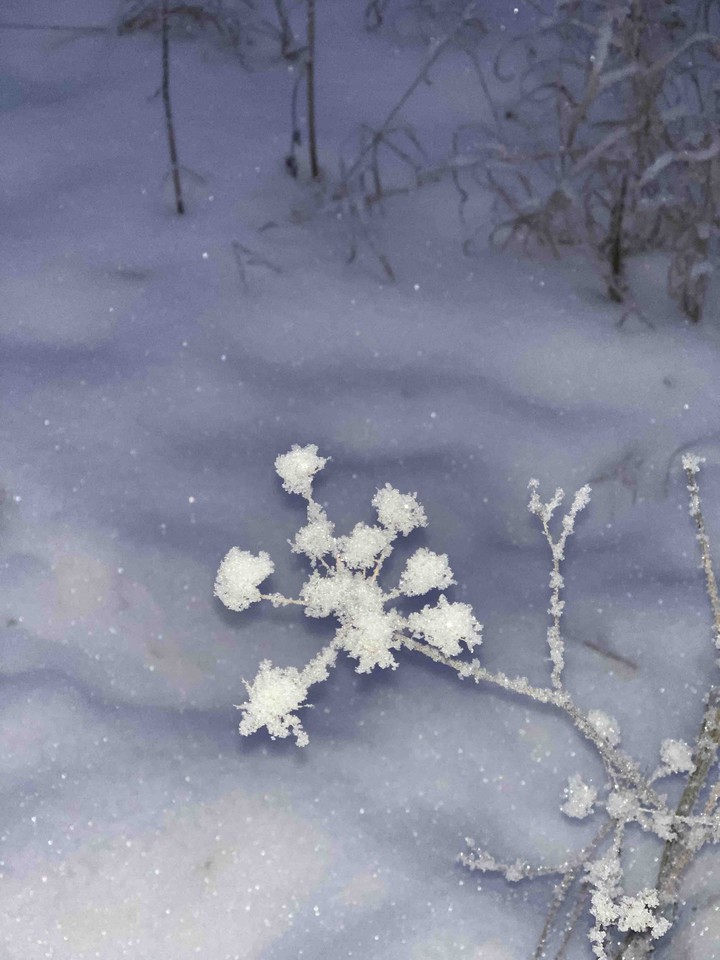 snow
