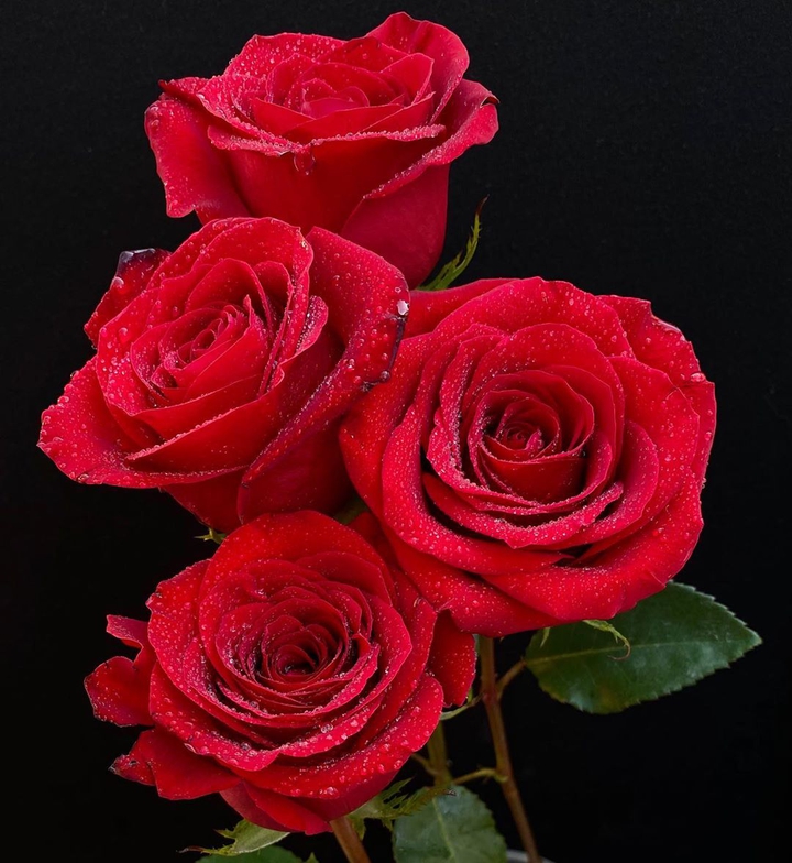 ♥️♥️♥️