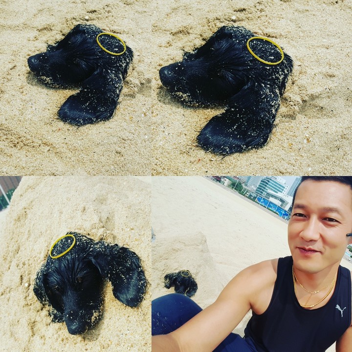 해운대