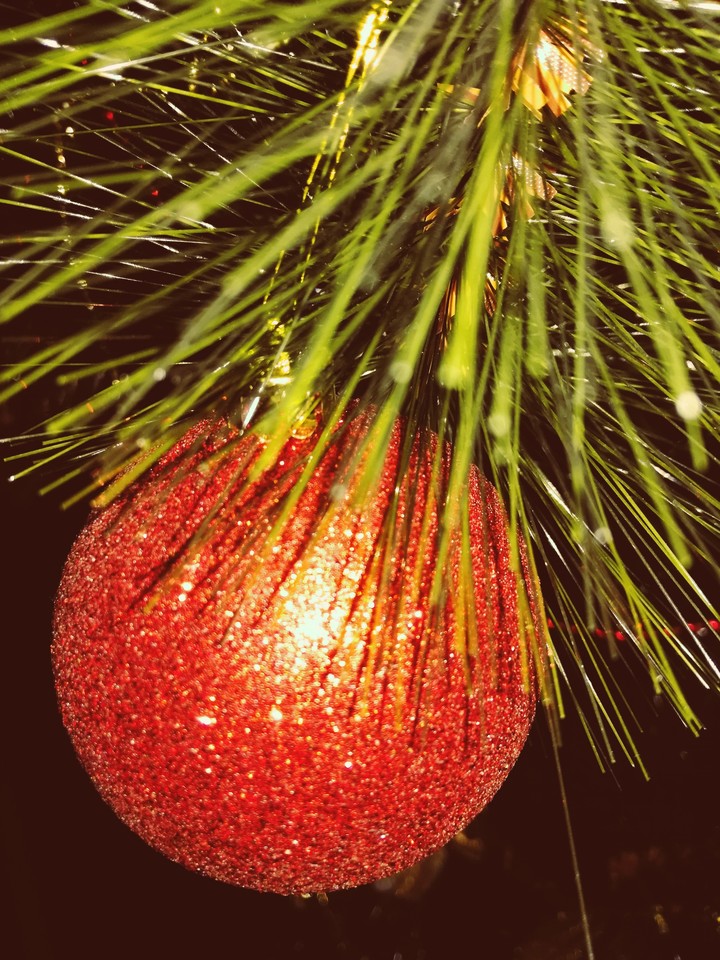 Merry Christmas