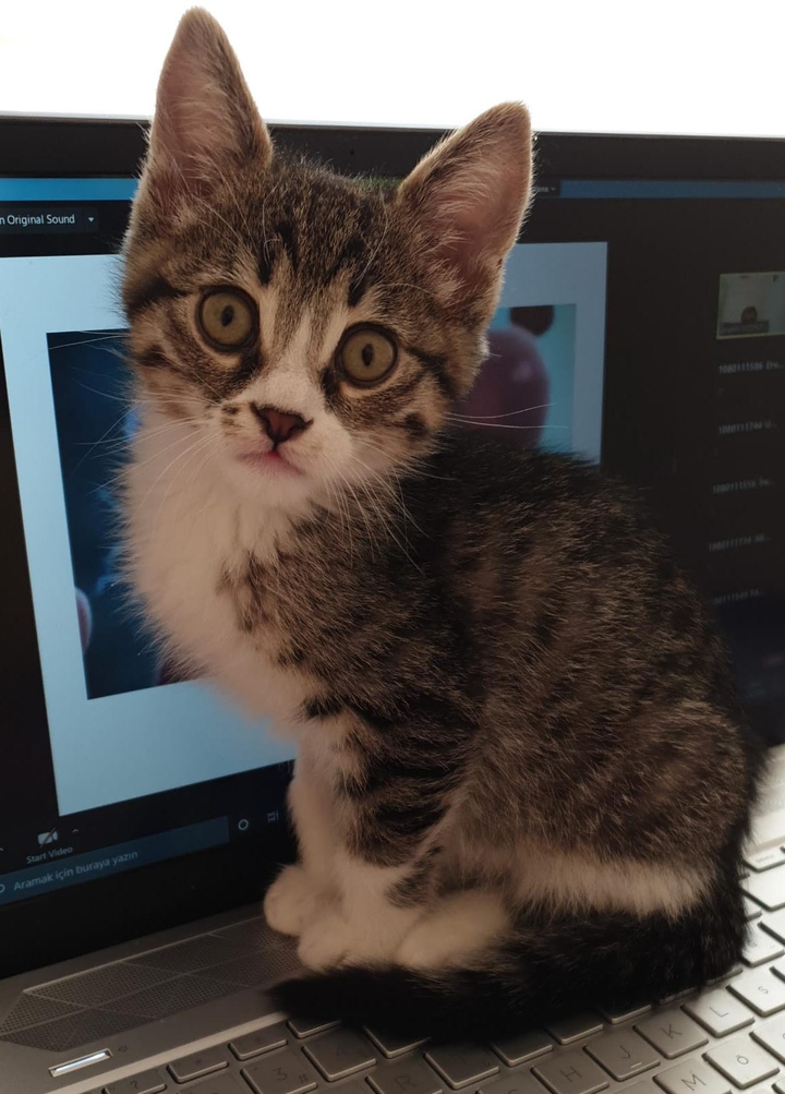 Leo