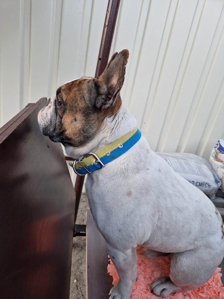 .