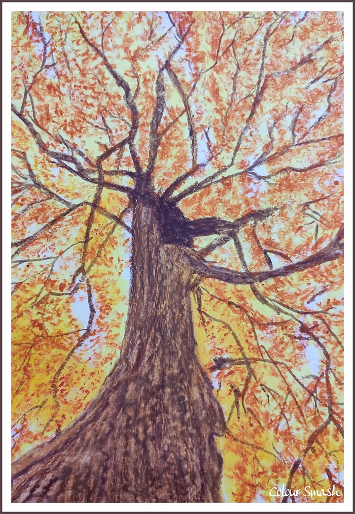 Yellow during the fall