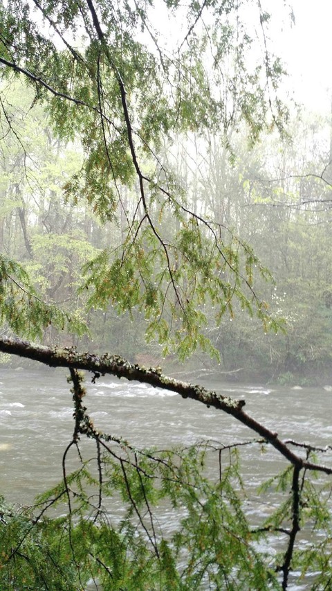 Mist