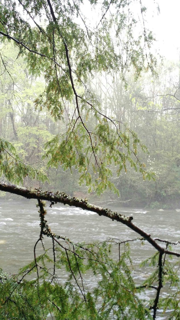 Mist