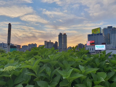 Seoul