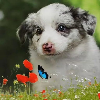 ❤️