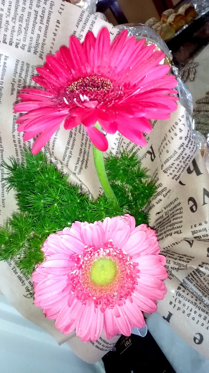 flower