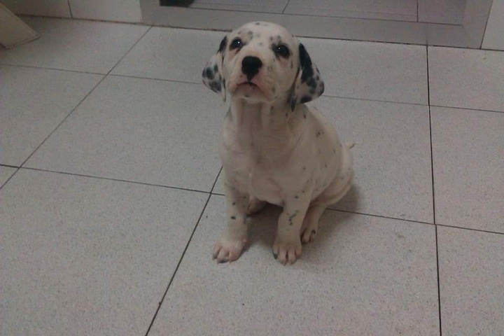 LUNA