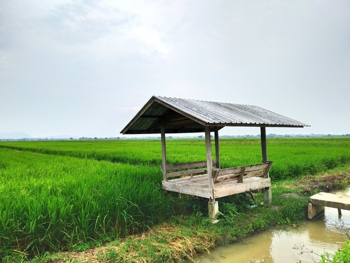 Small hut