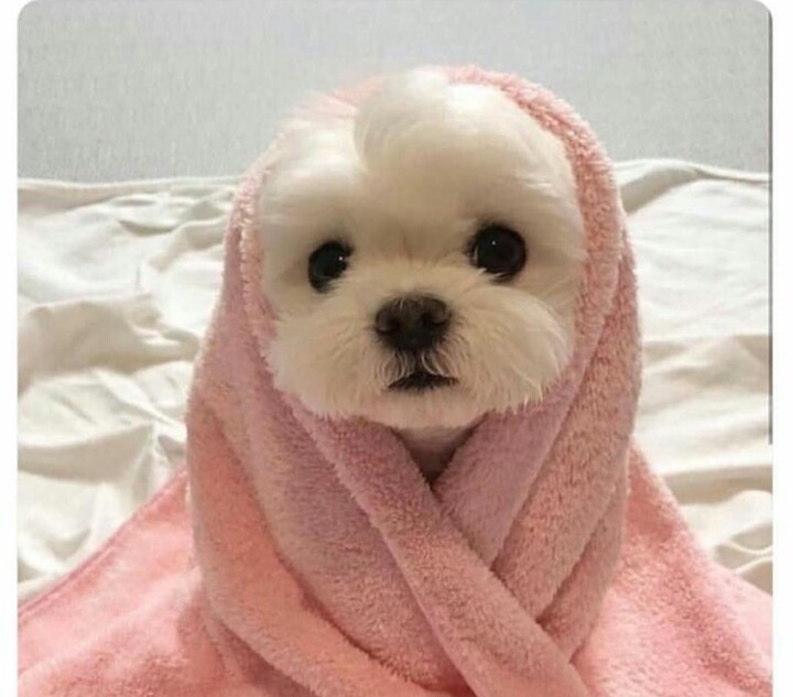 cute