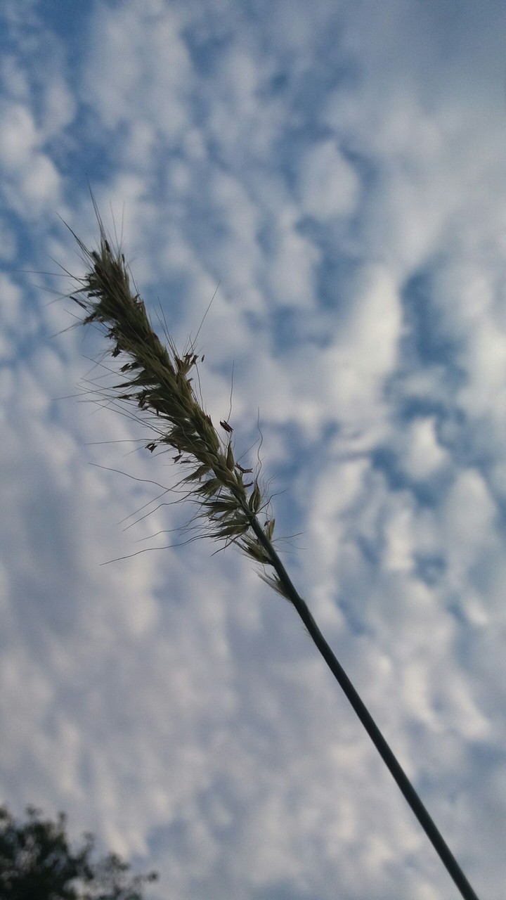summer