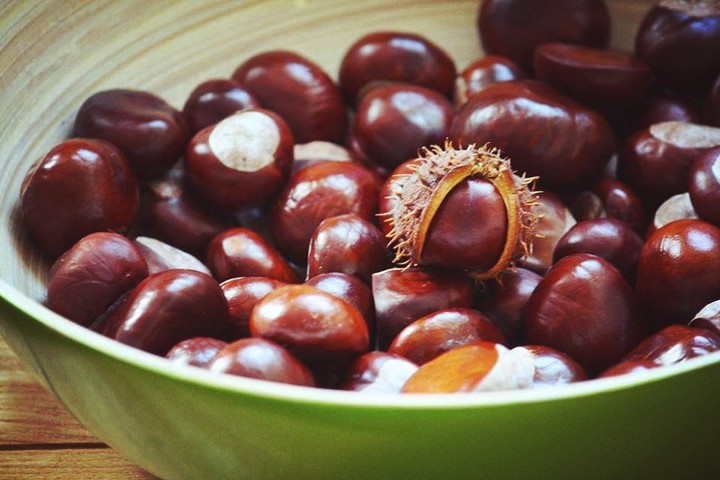 chestnuts