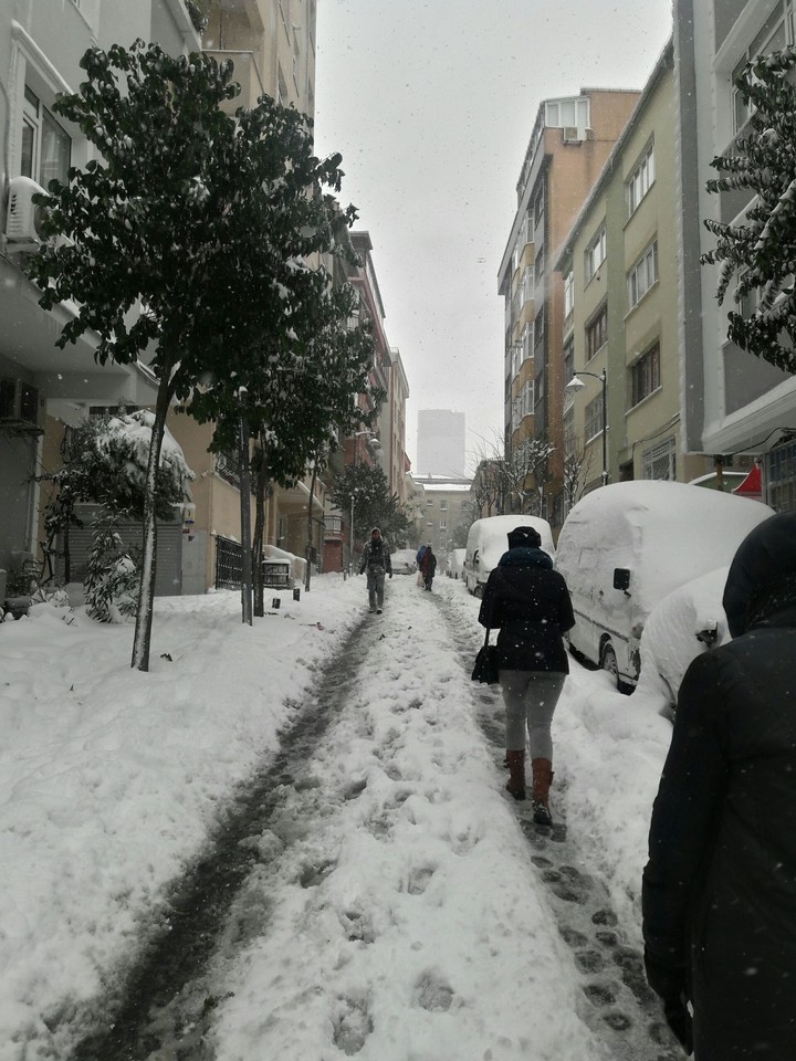 Snowy Day ~