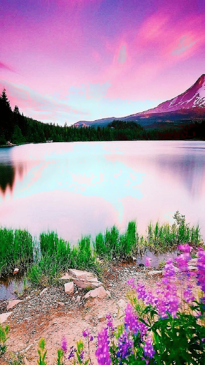 Nature 1