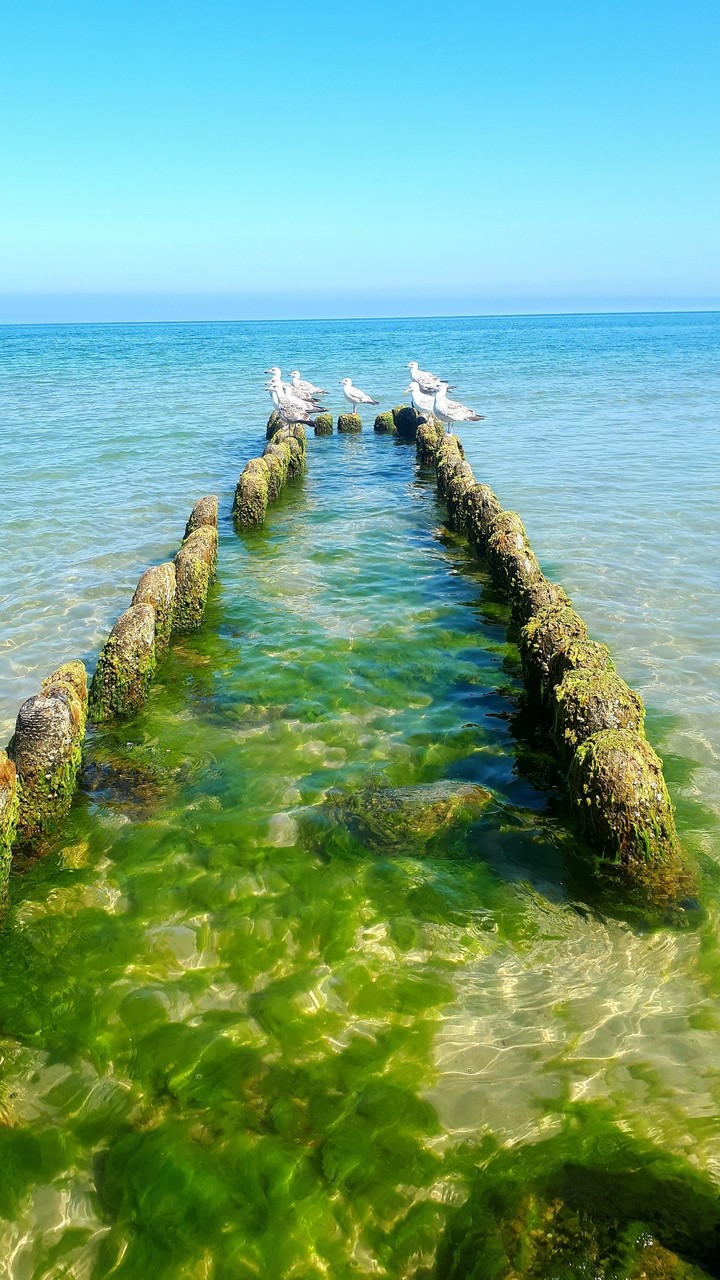 sea Baltyckie