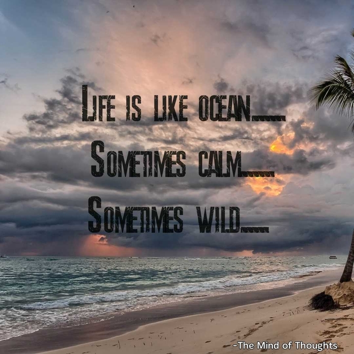 Quotes