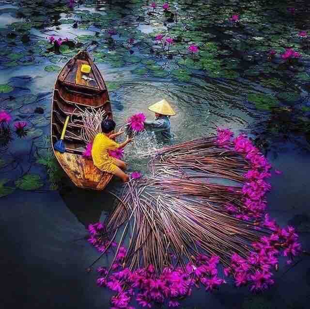Fill colour in your life
