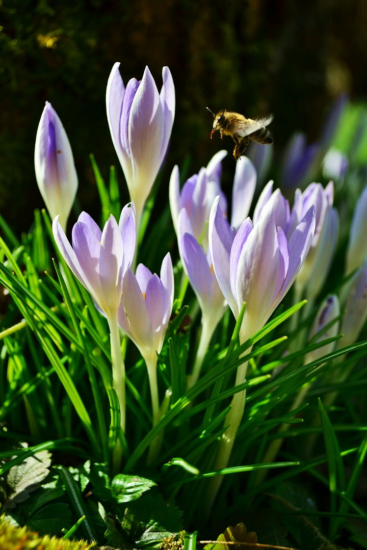 Spring is almost here