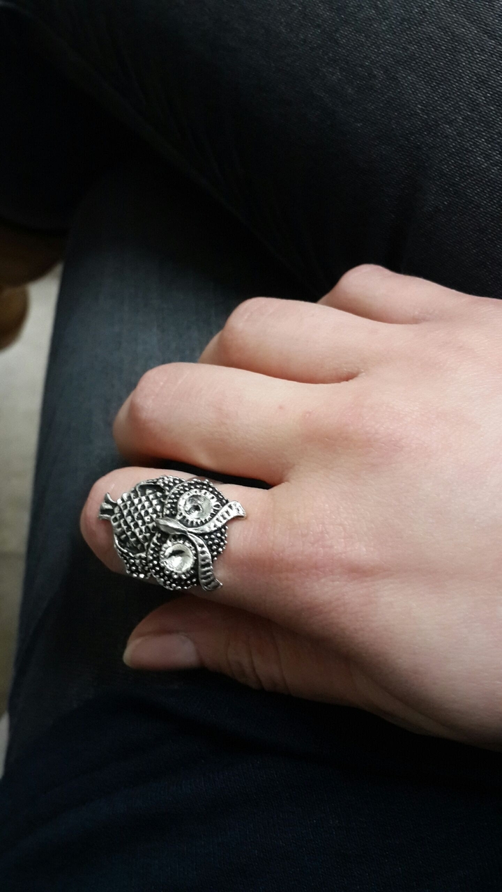 the owl