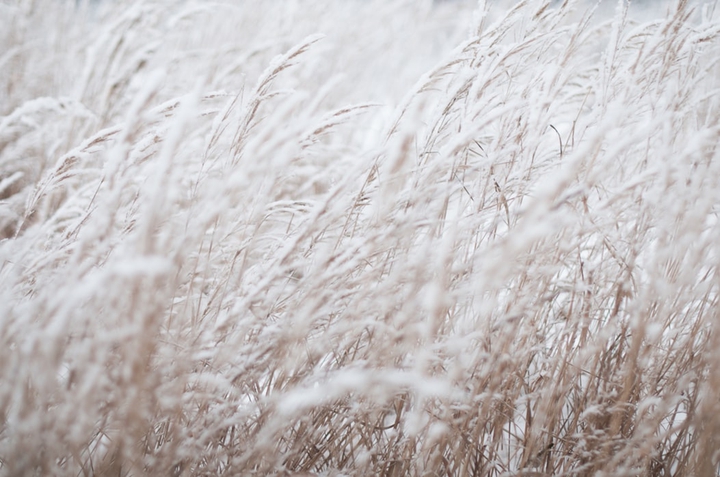 Lovely white.