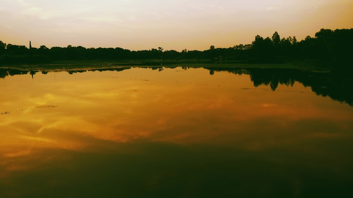 Silhouette