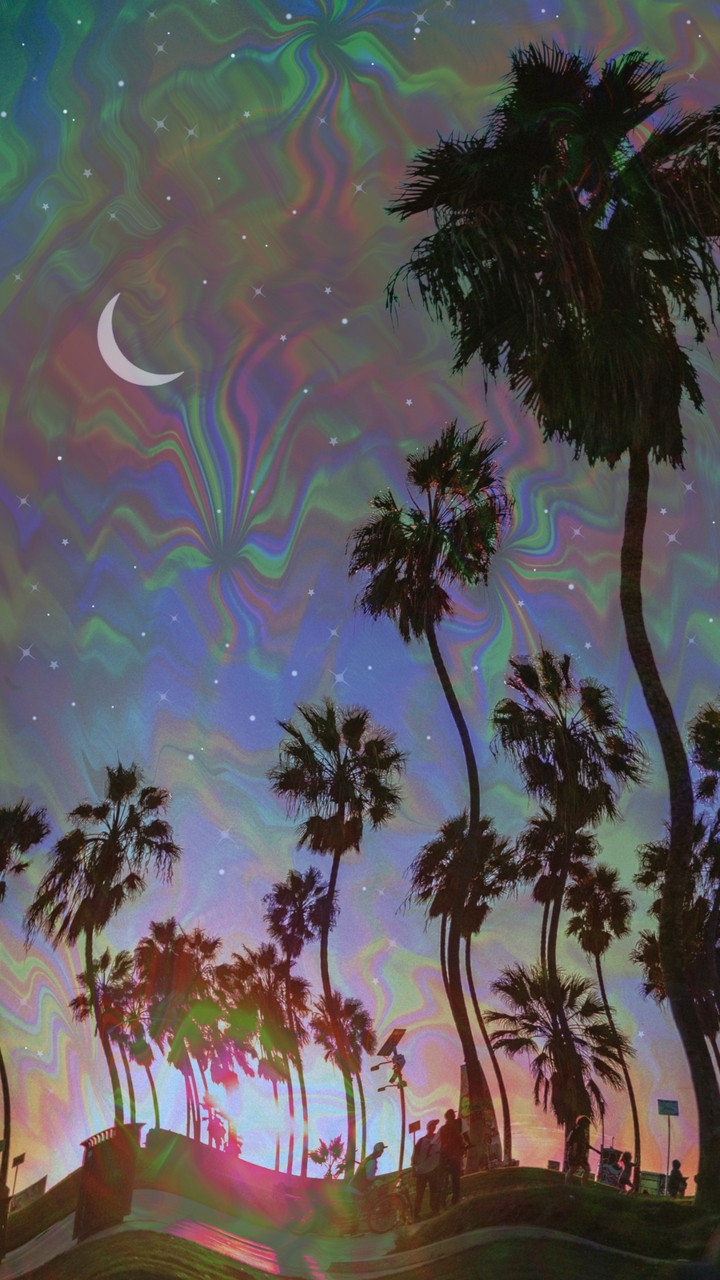 dizzy palms