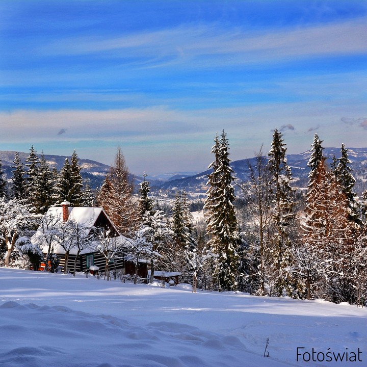 Winter