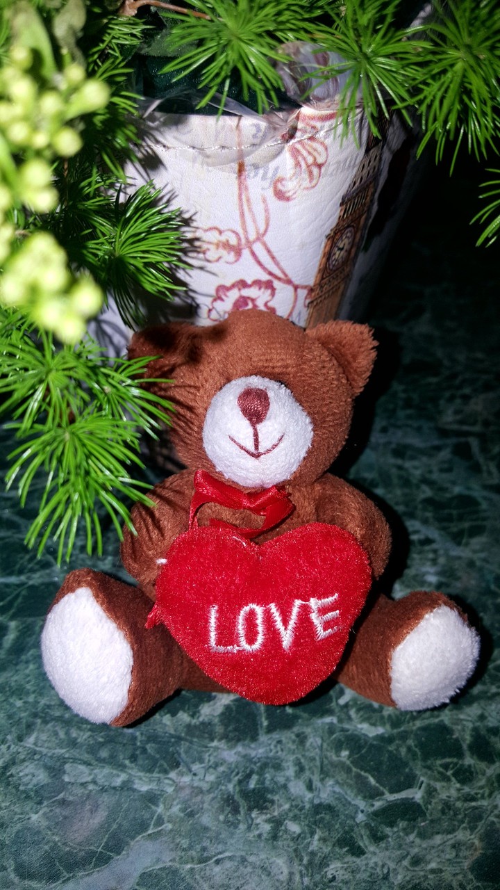 Little bear