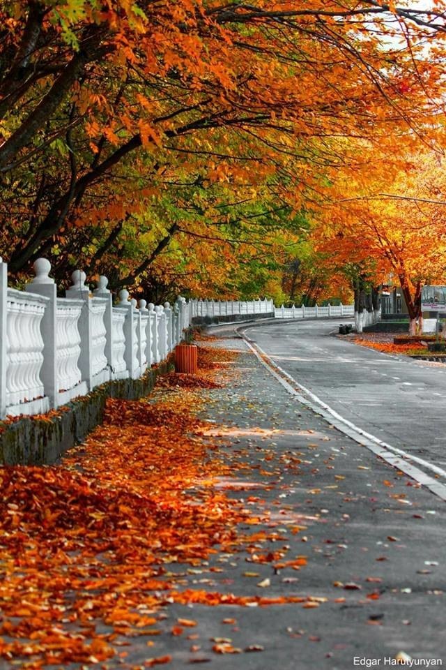 armenia