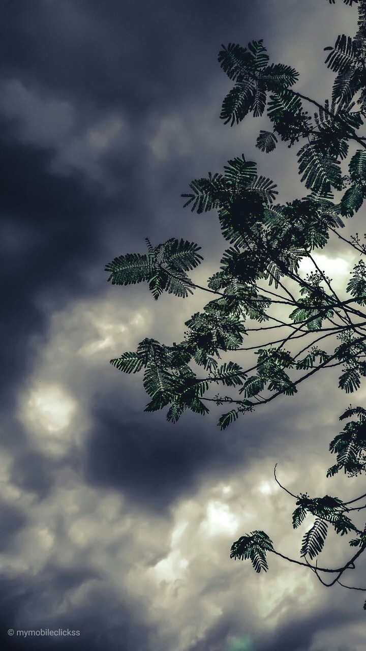 Rainy weather
