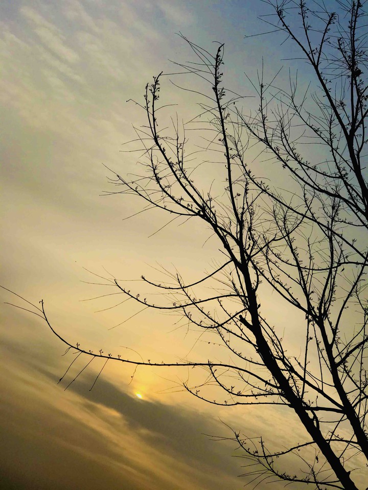 every moment is a fresh beginning.