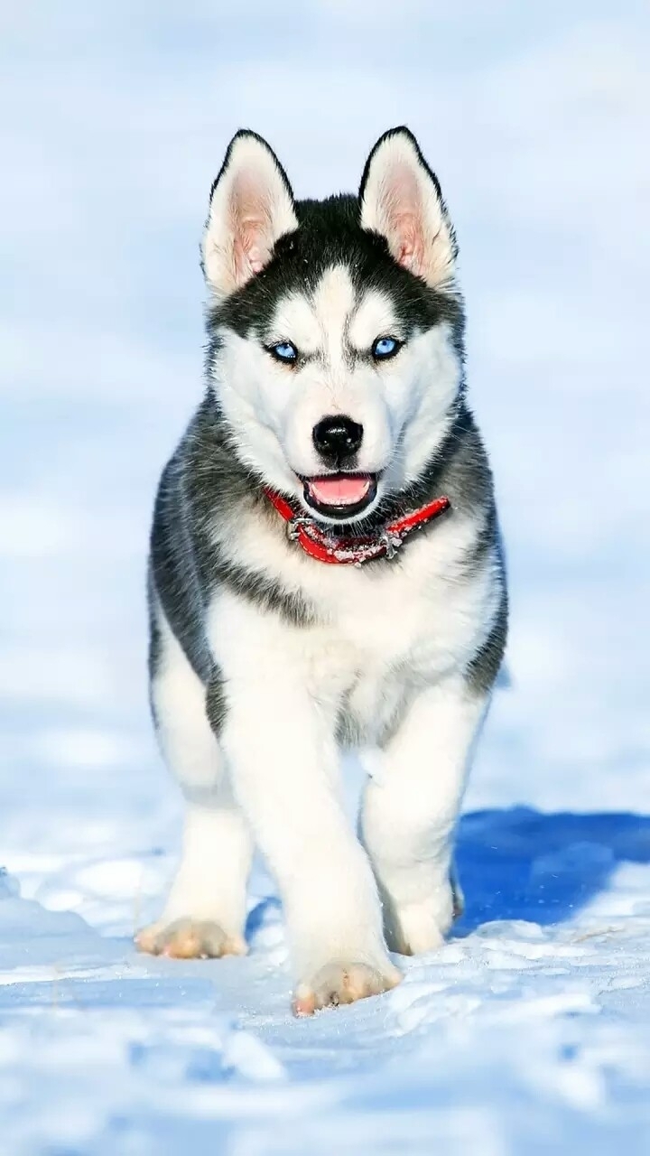 ?