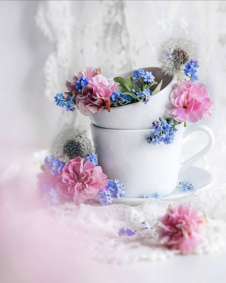 Stilllife