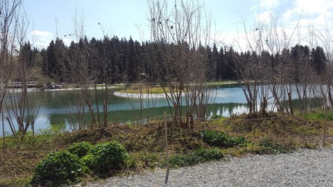 lake, Reservoir háttérképek