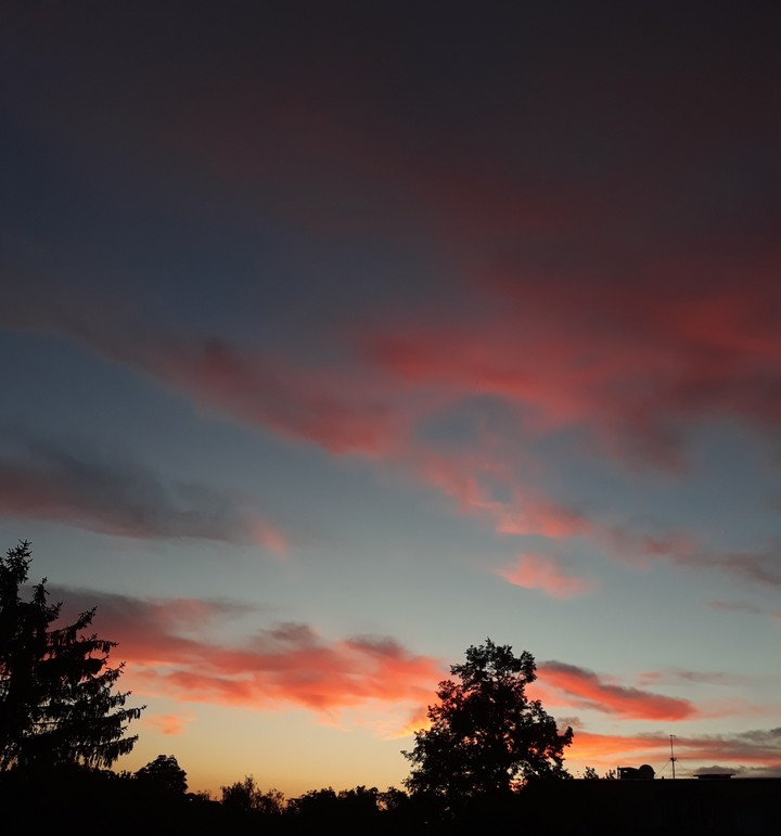 nofilters