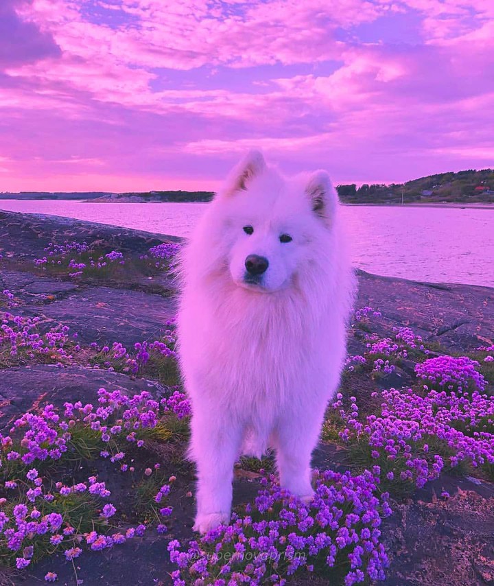 ❤️❤️❤️